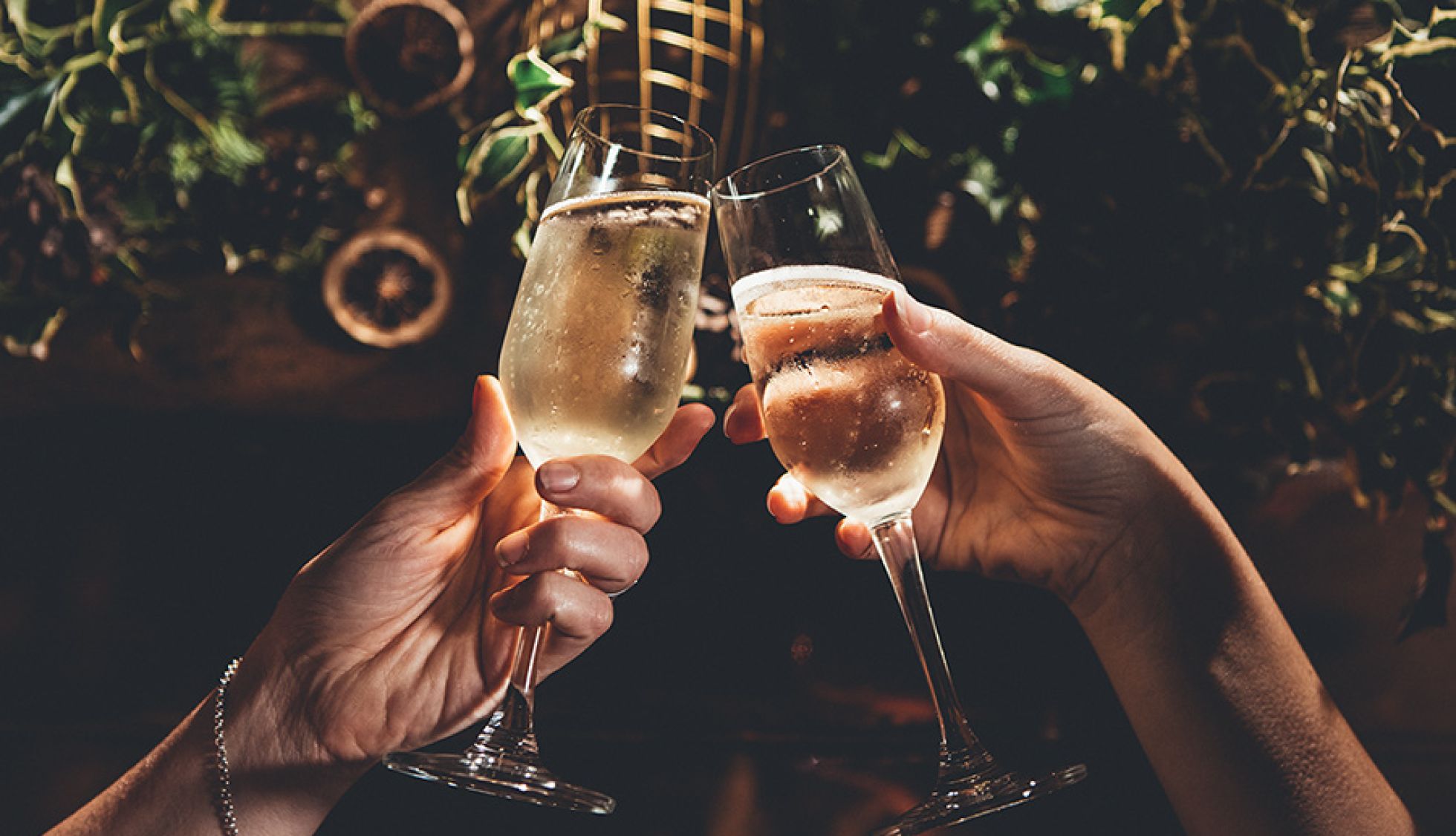 Christmas Cheers