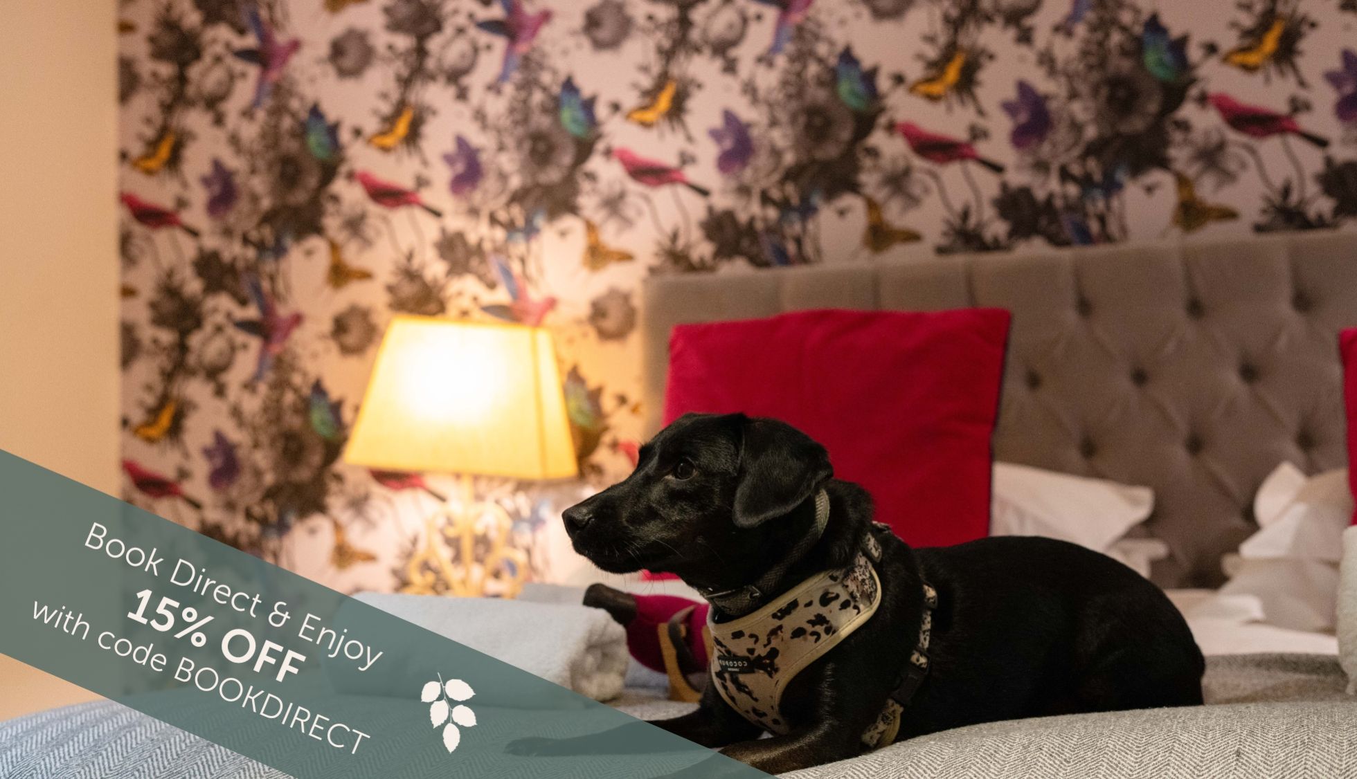 Hotel dog friendly bedrooms at the Running Horse pub with rooms in Littleton near Winchester